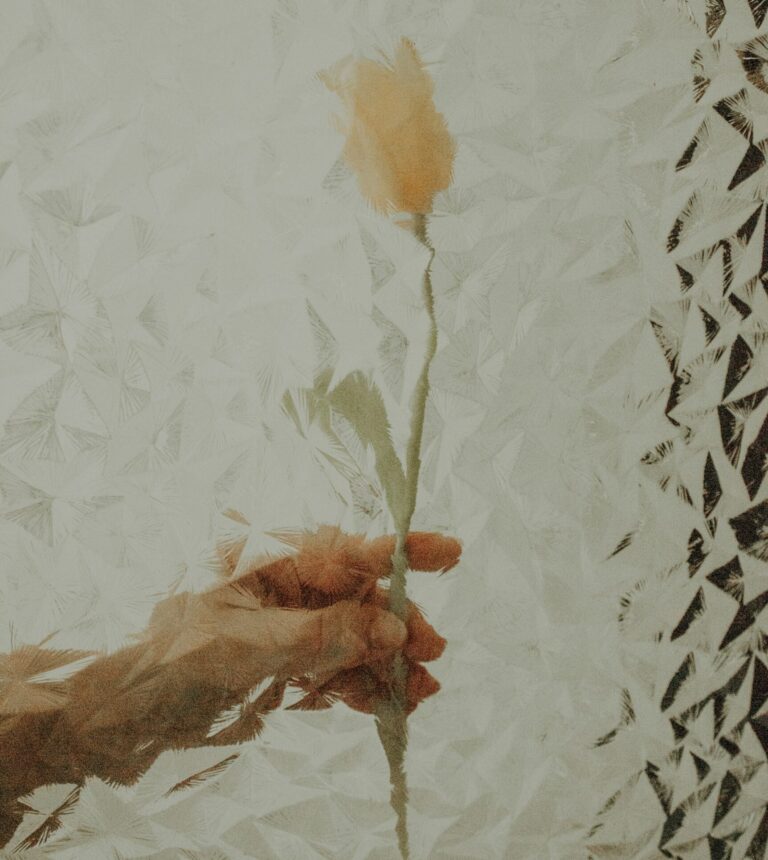 abstract older hand holding flower