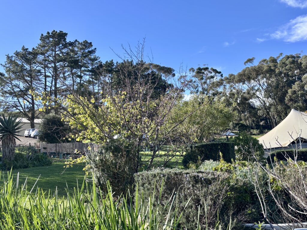 Accessible child-friendly Cape Town venues